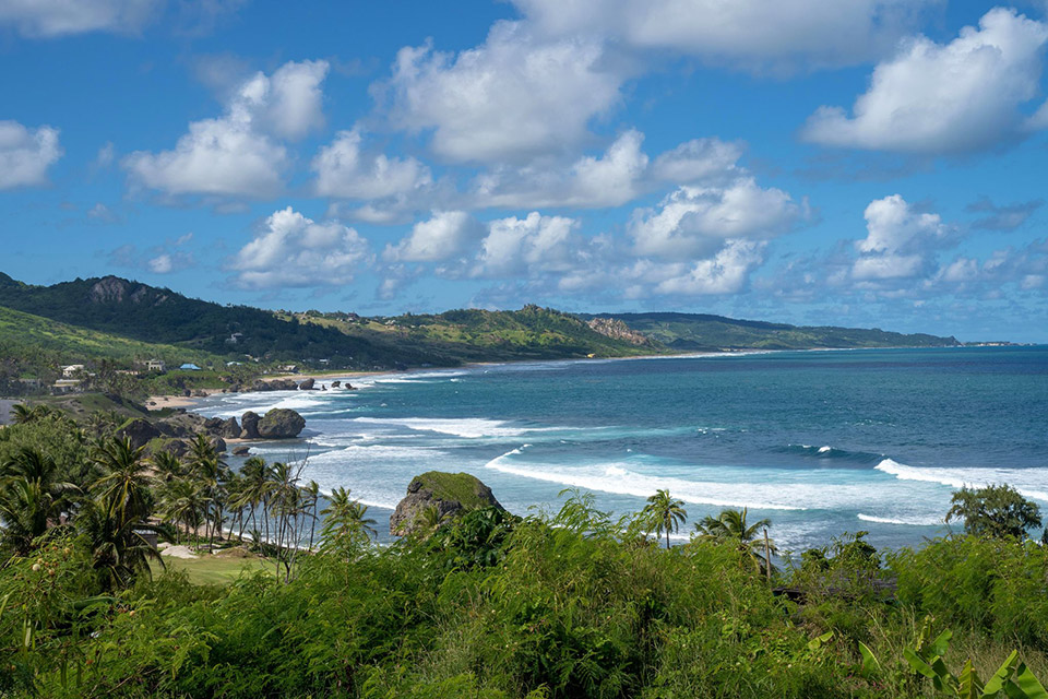 East Coast - Bathsheba