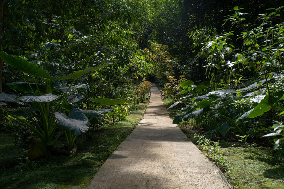 Welchman Hall Gully