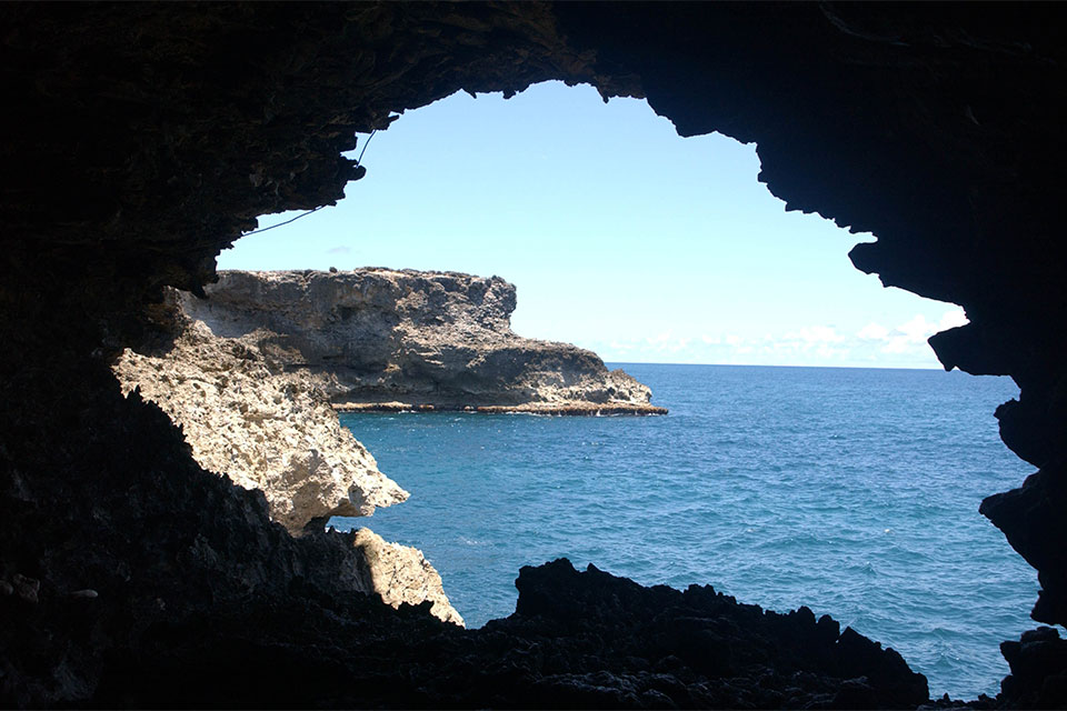 Animal Flower Cave