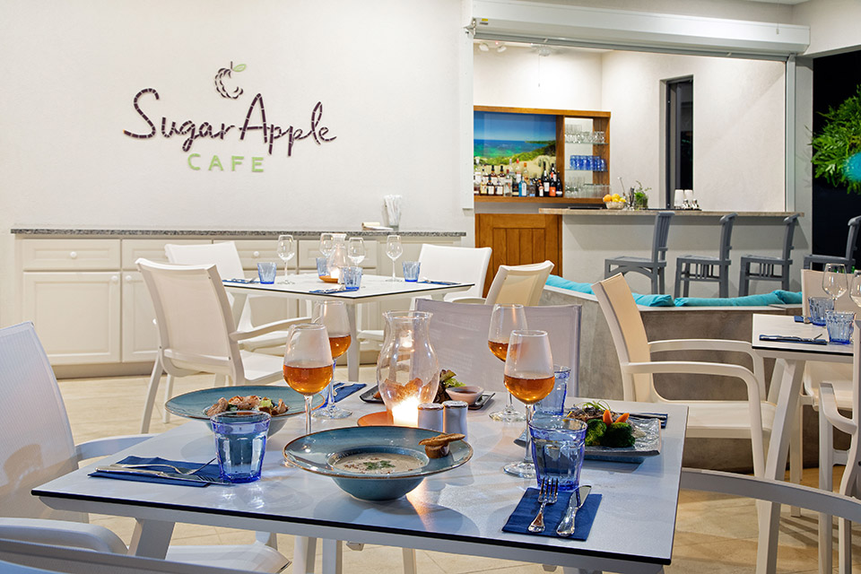 Our Hotel Beach View Barbados