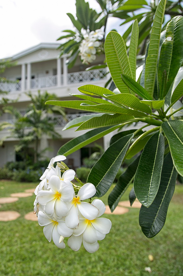 Beach View Barbados - Sustainability